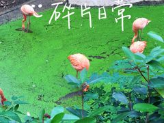 -杭州动物园