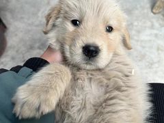 -乐宠宠物店(世纪金源店)