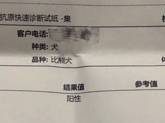 -美联众合动物医院·24h京西诊疗中心