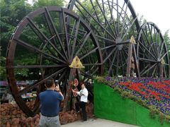 -北京呀路古热带植物园