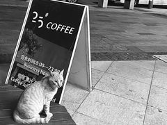 -25#COFFEE(古地石店)