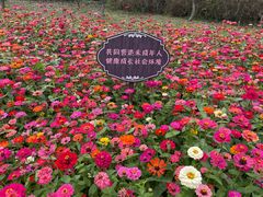 -苏州上方山国家森林公园