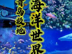 -海合安青岛极地海洋公园