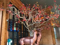 -新白鹿餐厅(城西银泰城店)