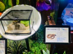 -酷嗒动物文化乐园(cutezoo西溪乐天城店)