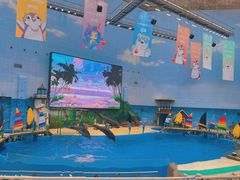 -海合安天津极地海洋公园