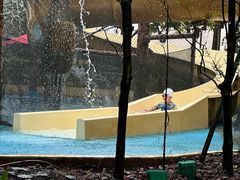 -新加坡水上探险乐园