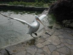 -重庆动物园·东二门售票处