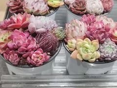 -鹿岛生活(熙地港店)