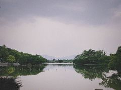-江心屿景区