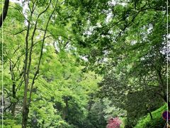 -岳麓山风景名胜区