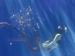 -常州海昌海洋探索馆