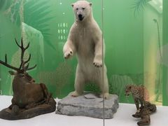 -国家自然博物馆