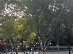 -柳州市动物园