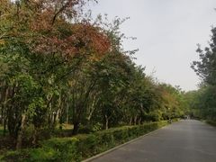 -长春市南湖公园