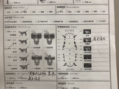 -博特宠物医院24h犬猫全科.骨科·异宠