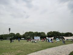 -羊山湖公园