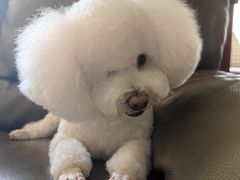 -美联众合动物医院·24h京西诊疗中心