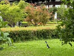 -狼山风景名胜区