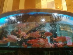 -金翠皇宫粤菜·点心·海鲜(科技园店)