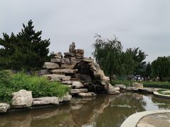 -羊亭河湿地公园