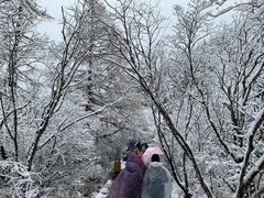 -黄龙山原始森林景区