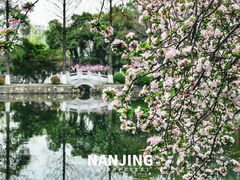 -莫愁湖公园