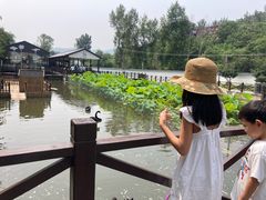 -荷塘味道(水长城店)