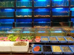 水产区-天天海鲜城·海鲜大排档(新溪店)
