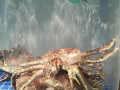 -外滩·云南人家(昆明旗舰店)