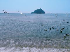 -棒棰岛宾馆景区