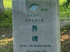 -天鹅湖大酒店