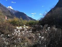-叠溪松坪沟景区