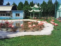 -秦皇岛野生动物园