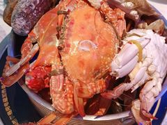 -半岛听涛蒸汽海鲜自助(K11店)
