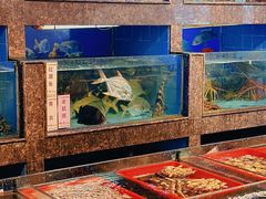 -新金盛·海鲜酒楼(盐田店)