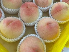 -老袁家蜜桃农场·阳山水蜜桃