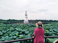 -荷塘月色湿地公园·向阳花洲