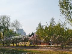 -群力丁香公园