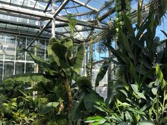 -国家植物园南园