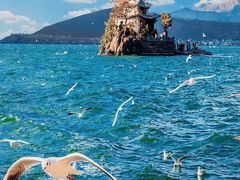 -洱海月湿地公园