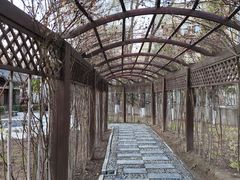 -文瀛公园