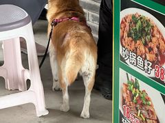 -小赖鱼馆