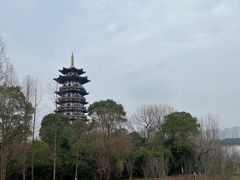 -洋湖国家湿地公园