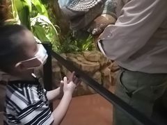 -侏罗纪世界电影特展(广州站)