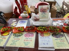 -马陆小张葡萄园农家乐