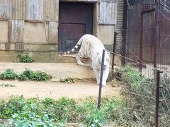 -云南野生动物园