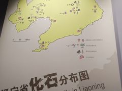 -辽宁古生物博物馆