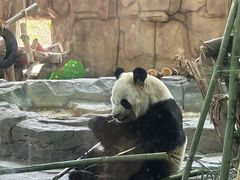 -泉州海丝野生动物世界