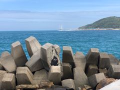 -后海村